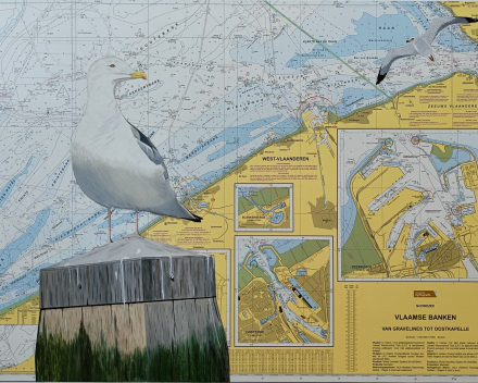 mouette 2 / dimensions: 60x80 / catégorie de prix: €€€