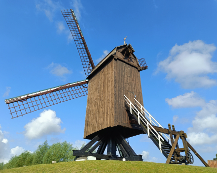 Kalfmolen aan de Graaf Jansdijk in Knokke