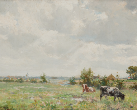 Xavier Würth (1868-1933): polders du zwin / dimensions: 60x40 / catégorie de prix: €€€€